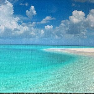 Artist D Cavanah Tropical Beach Canvas